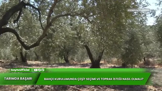 Tarımda Başarı