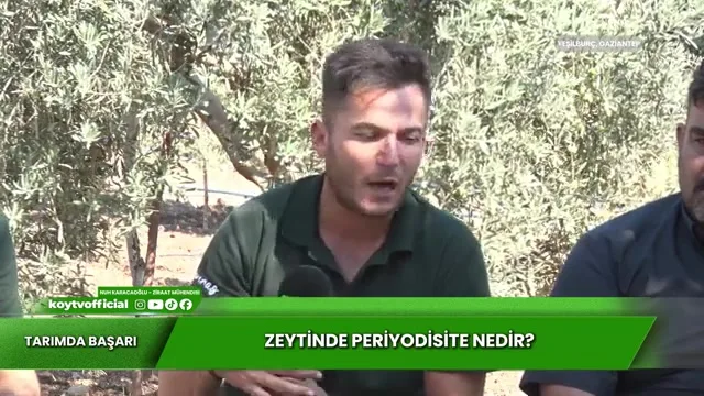 Tarımda Başarı