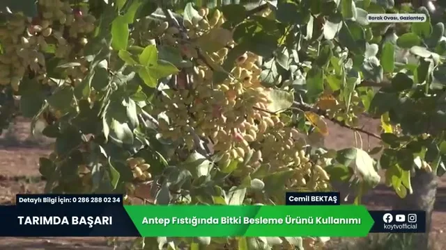 Tarımda Başarı