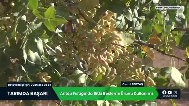 Tarımda Başarı