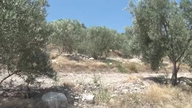 Tarımda Başarı