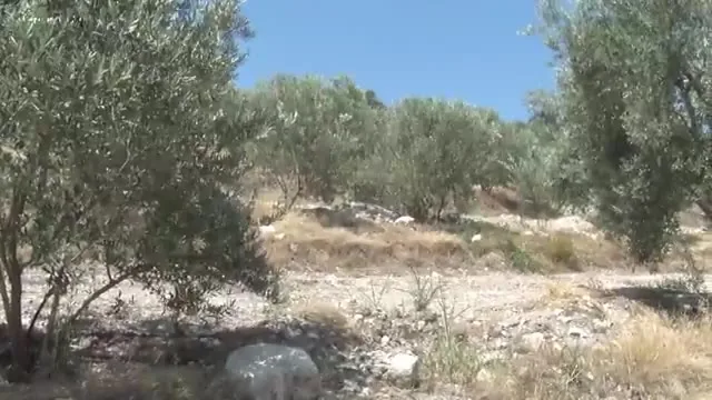 Tarımda Başarı