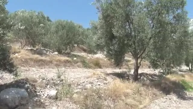 Tarımda Başarı