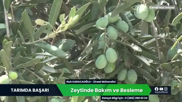 Tarımda Başarı