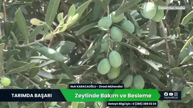 Tarımda Başarı