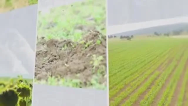 Tarımda Başarı