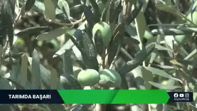 Tarımda Başarı