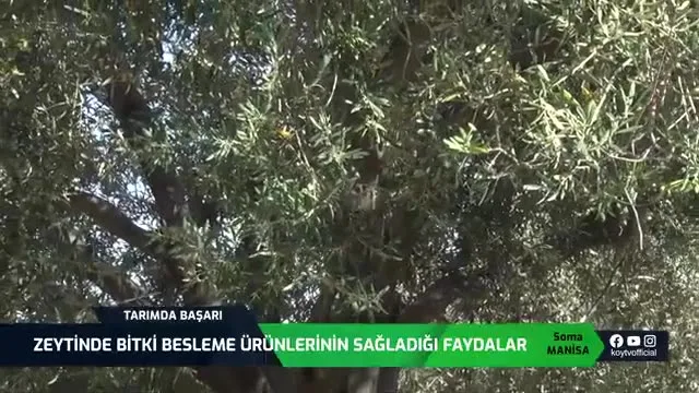 Tarımda Başarı