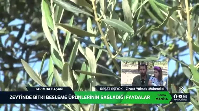 Tarımda Başarı