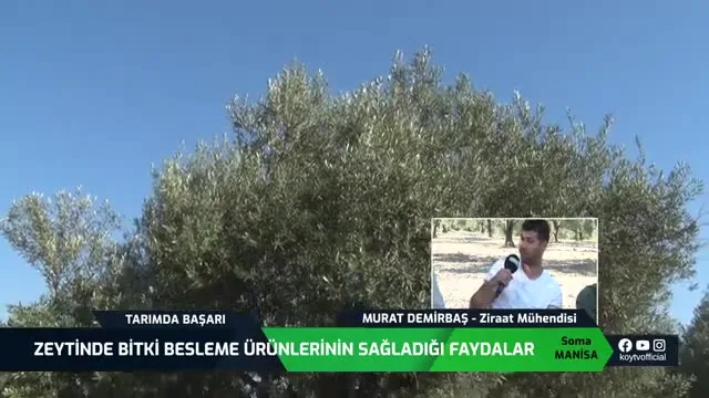 Tarımda Başarı