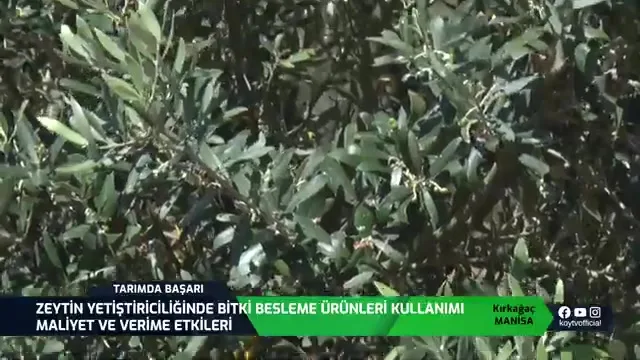 Tarımda Başarı