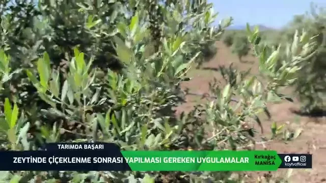 Tarımda Başarı