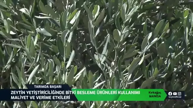 Tarımda Başarı