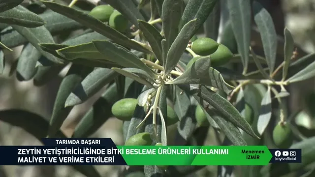 Tarımda Başarı