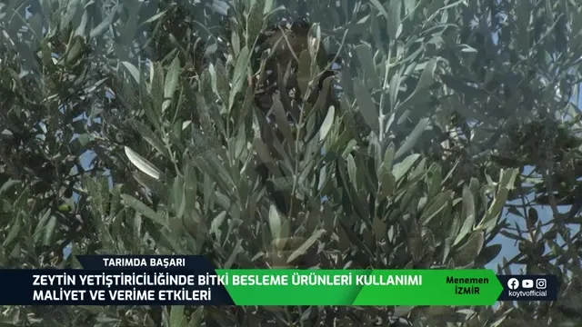Tarımda Başarı