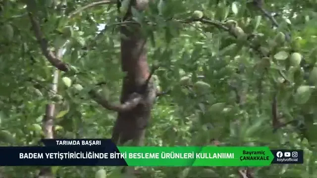 Tarımda Başarı