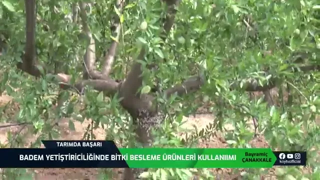 Tarımda Başarı