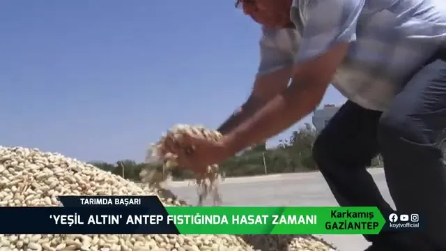 Tarımda Başarı