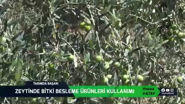 Tarımda Başarı