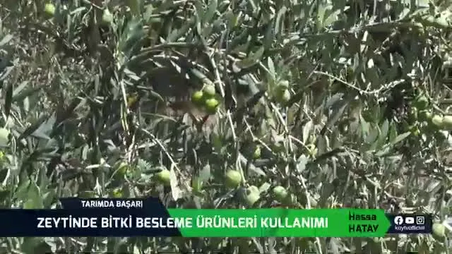 Tarımda Başarı