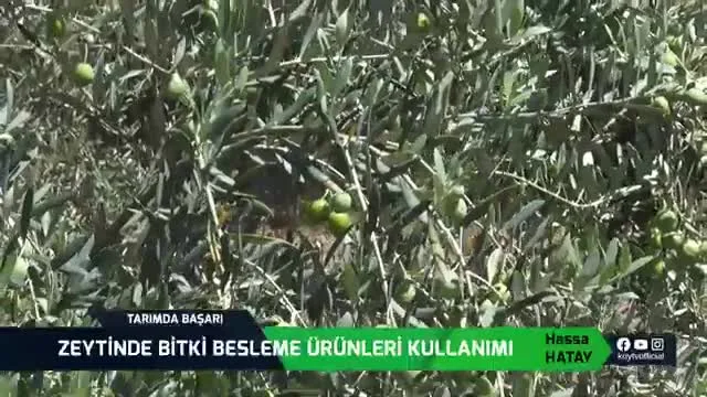 Tarımda Başarı
