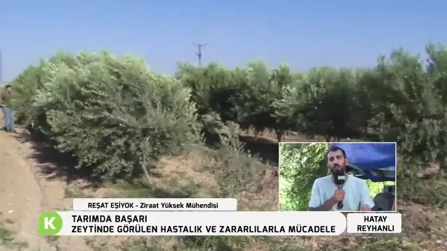 Tarımda Başarı
