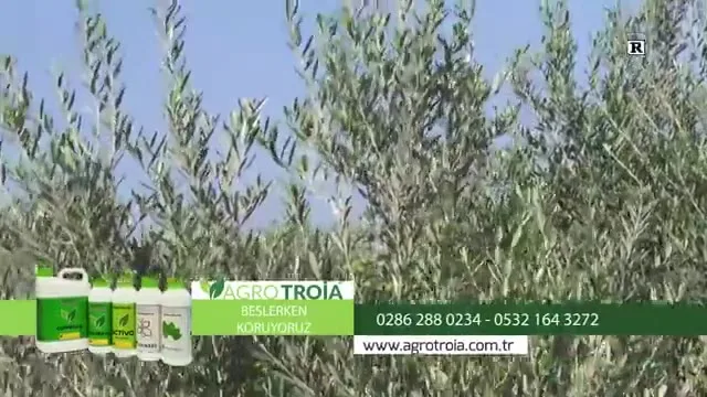 Tarımda Başarı