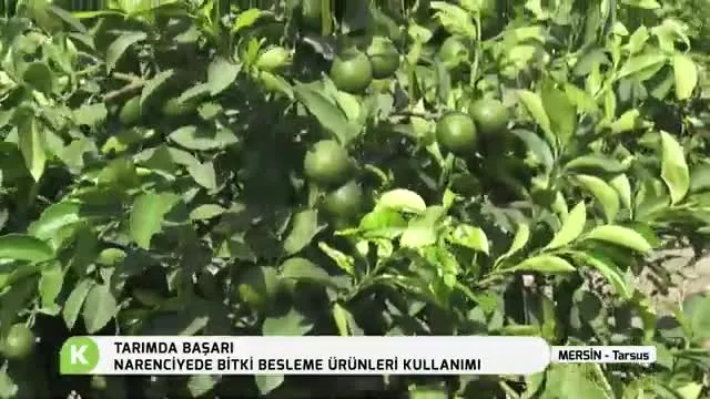 Tarımda Başarı