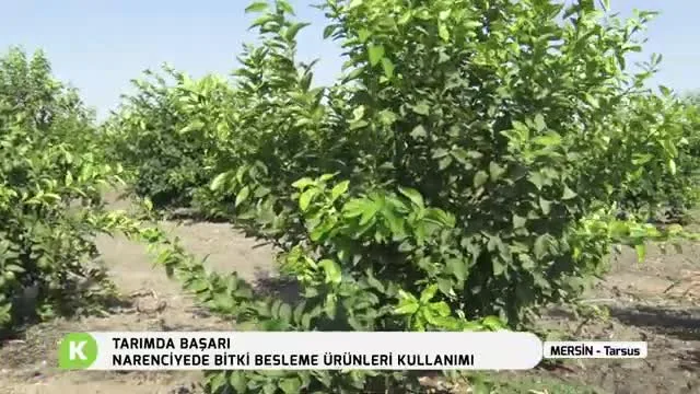 Tarımda Başarı