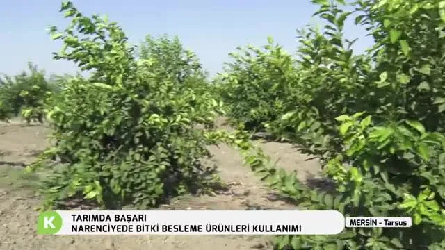 Tarımda Başarı