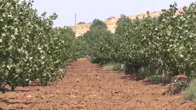 Tarımda Başarı