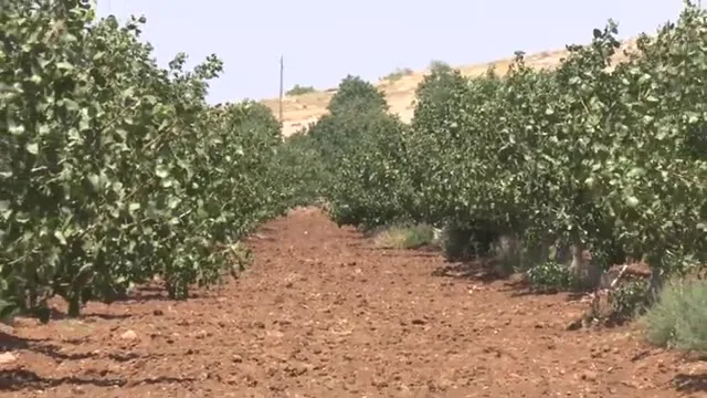Tarımda Başarı