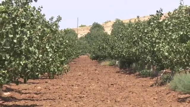 Tarımda Başarı