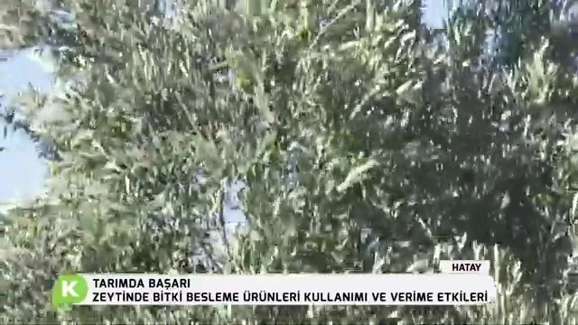 Tarımda Başarı