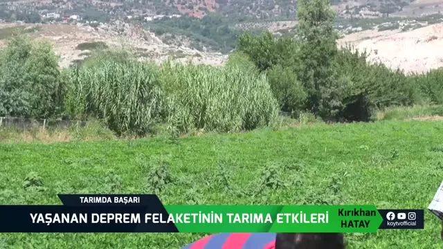 Tarımda Başarı