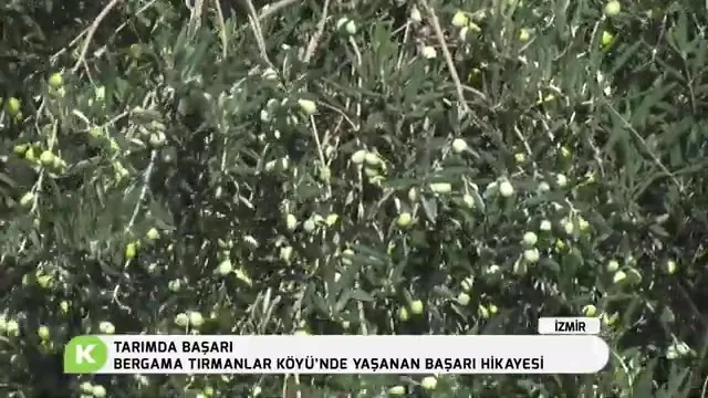 Tarımda Başarı