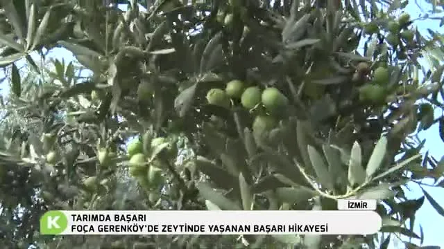 Tarımda Başarı