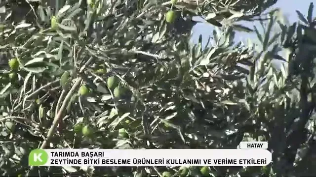 Tarımda Başarı