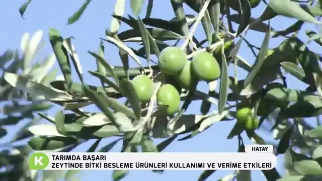 Tarımda Başarı
