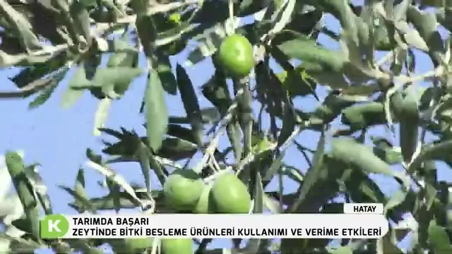 Tarımda Başarı