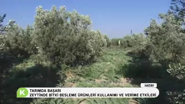 Tarımda Başarı