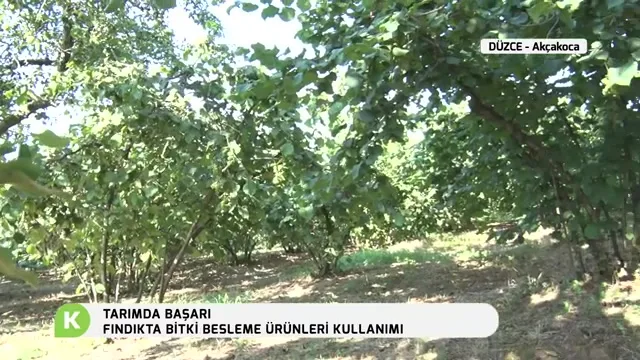 Tarımda Başarı