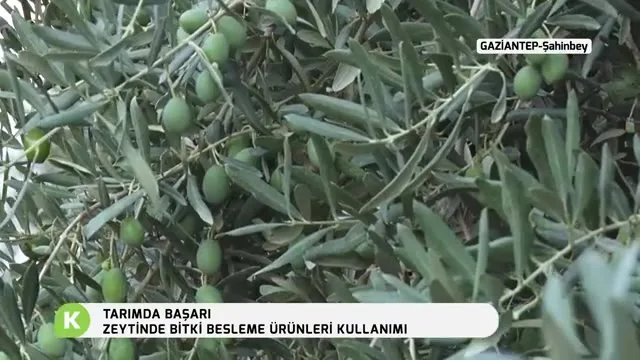 Tarımda Başarı