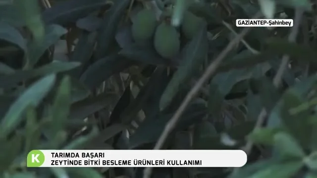 Tarımda Başarı