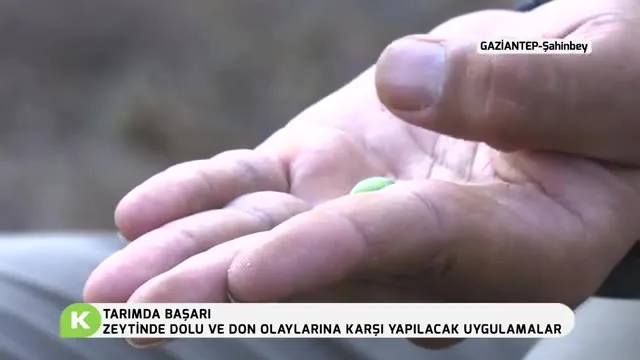 Tarımda Başarı