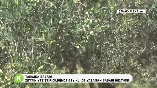 Tarımda Başarı