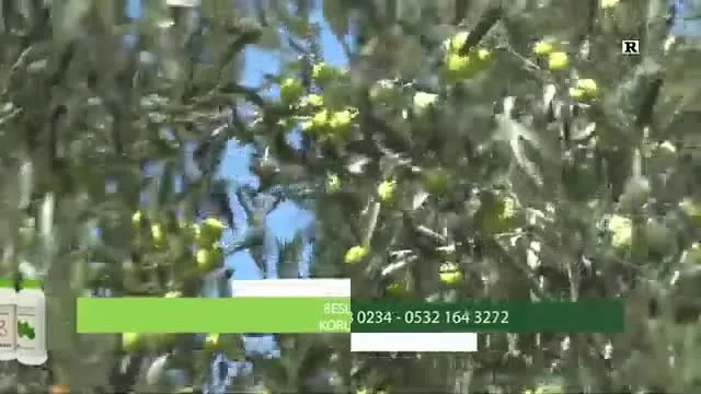 Tarımda Başarı