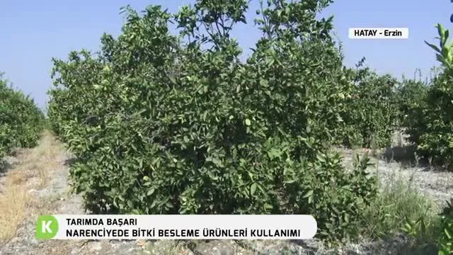 Tarımda Başarı