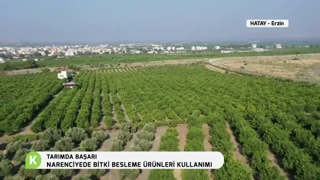 Tarımda Başarı