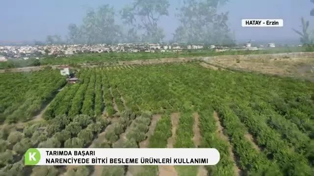 Tarımda Başarı